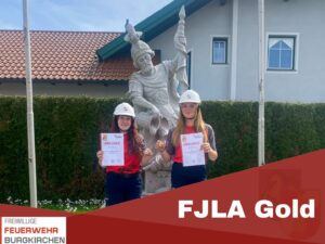 Mehr über den Artikel erfahren FJLA Gold