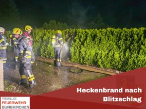 Mehr über den Artikel erfahren Heckenbrand nach Blitzschlag