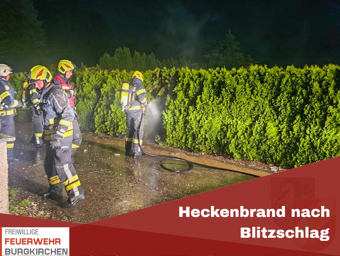 Du betrachtest gerade Heckenbrand nach Blitzschlag