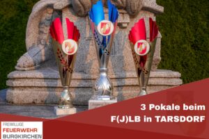 Mehr über den Artikel erfahren 3 Pokale beim F(J)LB in Tarsdorf