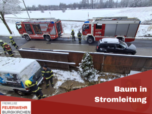 Mehr über den Artikel erfahren Baum in Stromleitung