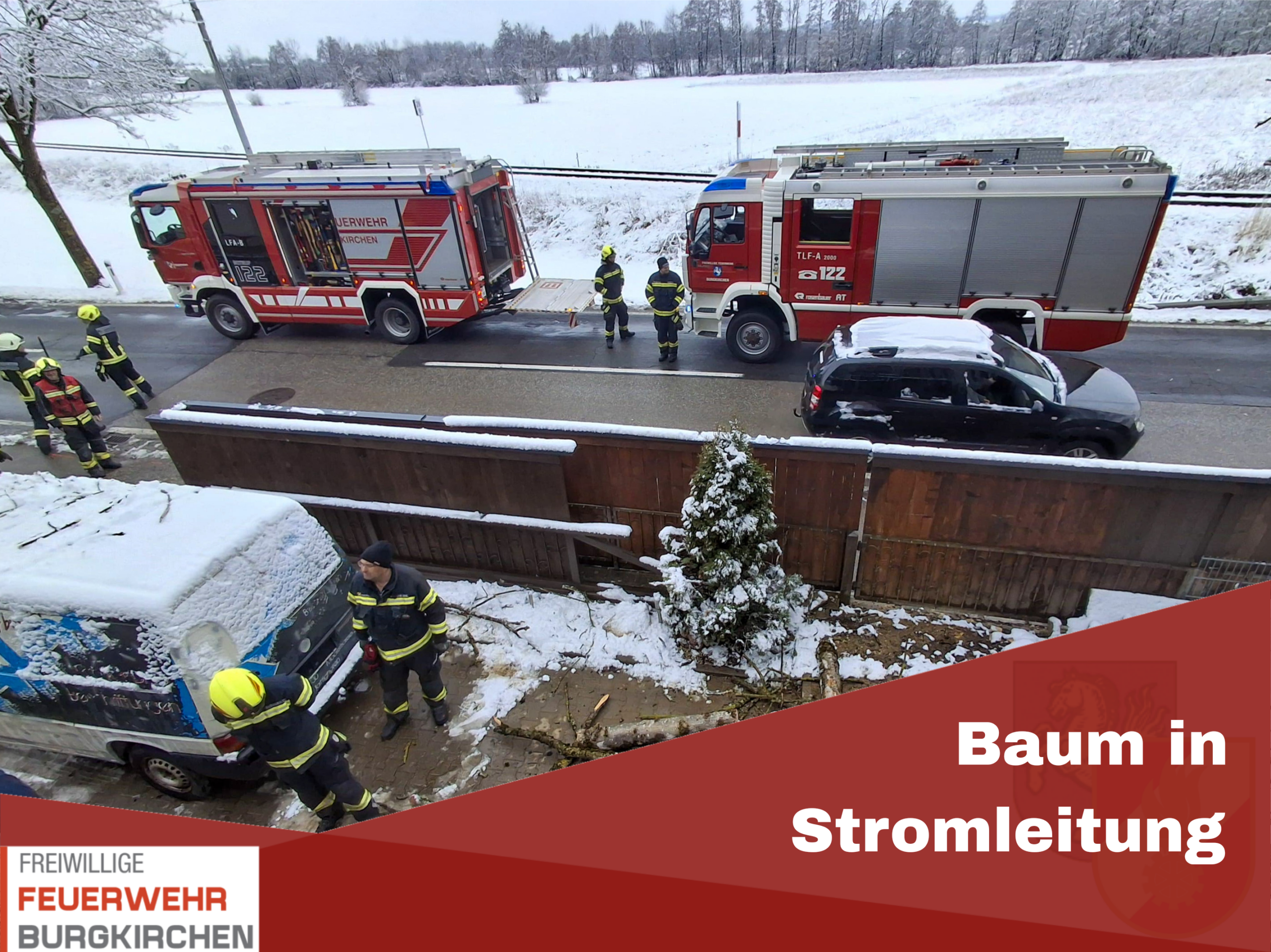 Du betrachtest gerade Baum in Stromleitung